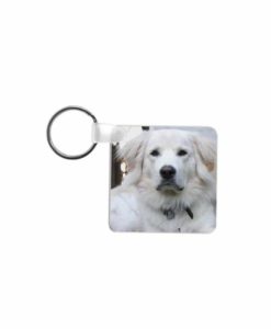 Porte clef carre (fibre de verre)