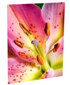 Plaque Photo aluminium